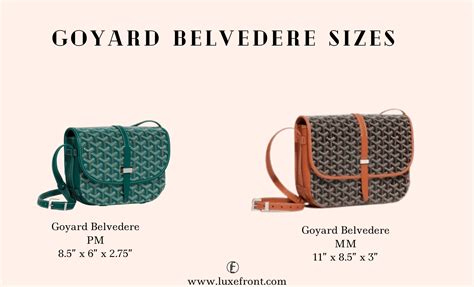 goyard belvedere size